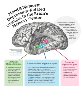 Memory-Related Regions of the Brain Function Differently in Those with Treatment-Resistant Depression